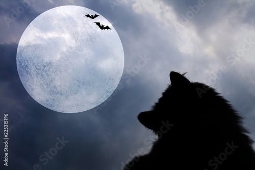 Halloween background with silhouettes of black cat, bats and full moon
