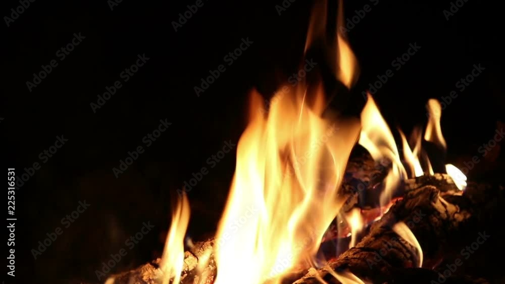 Bonfire at night, close up, nature background
Bonfire at night, close up, nature background