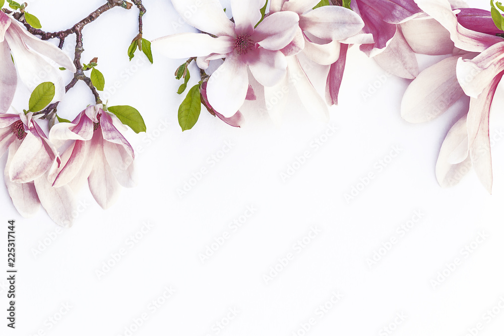 Fototapeta premium Beautiful magnolia flowers/Magnolia and peach flowers on white background with copy space