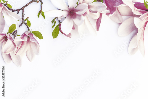 Canvas Print Beautiful magnolia flowers/Magnolia and peach flowers on white background with c