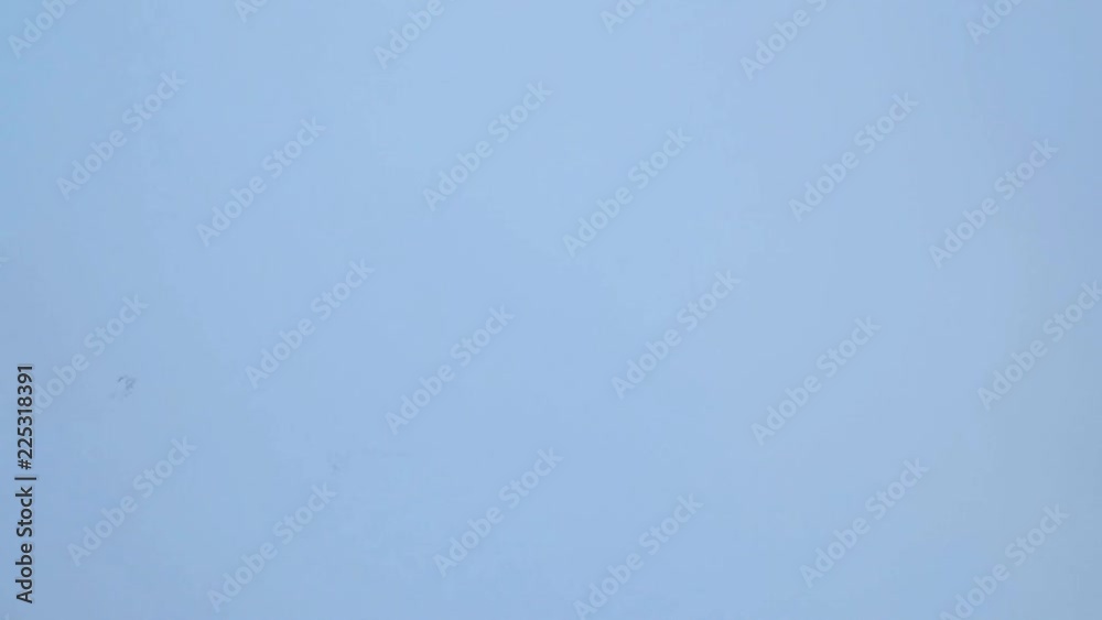 birds cranes in the sky birds cranes in the sky