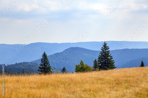 Schwarzwald