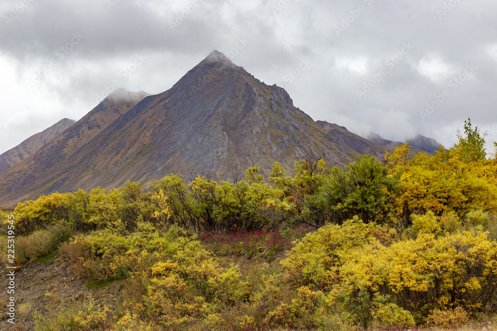Fall colors in tundra, in Tombstone national park. Yukon, Canada