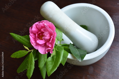 Mortaio e pestello in ceramica bianca con rosa gallica officinalis  e foglie d'alloro photo