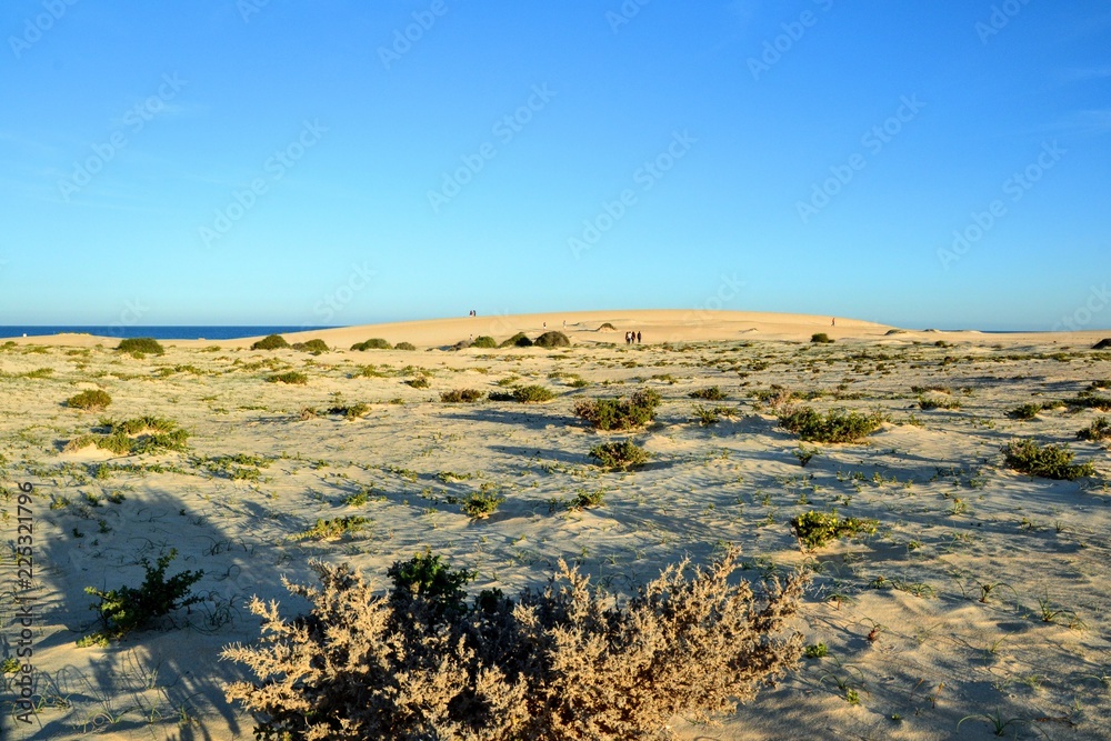 The sand dunes landscape at Parque Natural de Corralejo at Fuerteventura, Canary Islands, Spain