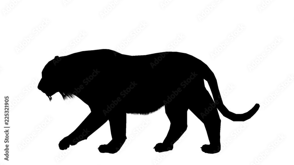 Black silhouette of a moving tiger. Alpha channel. Alpha matte. FullHD. Black silhouette of a moving tiger. Alpha channel. Alpha matte. FullHD.