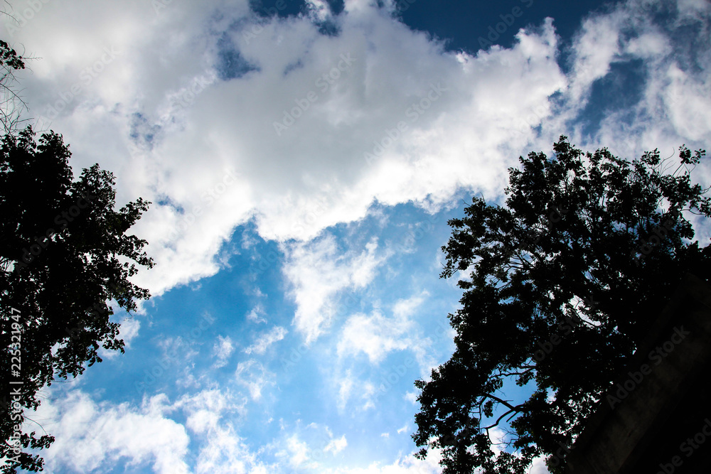 Clouds in the sky and trees on the sides Clouds in the sky and trees on the sides