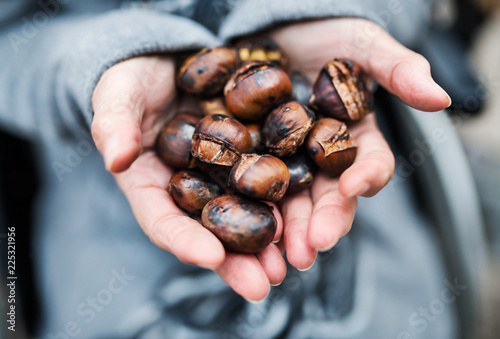 Hands of senior woman holding roasted chestnut outdoors in winter. photo