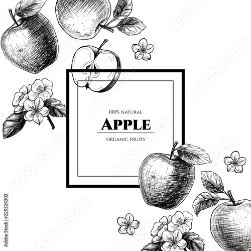 Vector frame with apples. Hand drawn. Vintage style