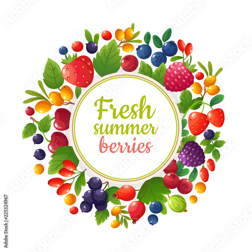 Fresh organic summer berries and fruits. Healthy food vegan cafe menu vector design. Strawberry fresh  blackberry and berry illustration