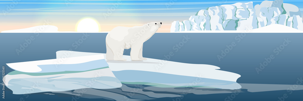 Fototapeta premium Large polar bear on an ice floe drifting in a cold northern ocean. The glacier and the snow-covered plains and the cold blue sea. Landscapes of the Antarctic.