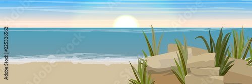 Sandy coast of the sea or ocean with fragments of rocks and thickets of grass. Seascape. Vector landscape