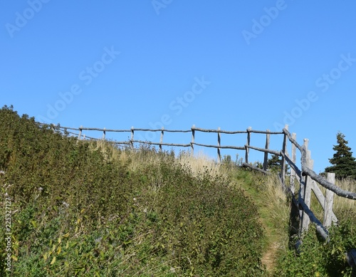 wooden fence along  an unmaintained hiking path, clear sunny Autumn day © skyf