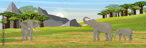 Family of elephants. African savannah, baobab thickets and high mountain ranges. Realistic vector landscape. The nature of Africa