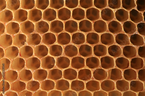 View on shape cell an honeycomb. A bee patch made by bees from wax. It is used for storing honey, perga and for breeding larvae.