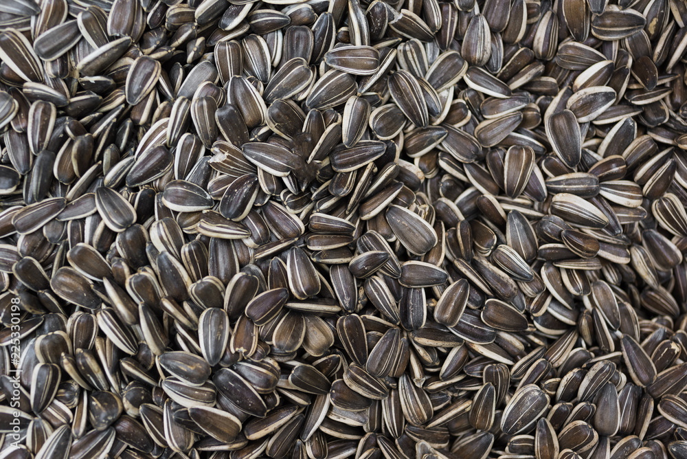 Sunflower seeds background Sunflower seeds background