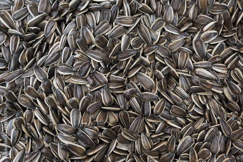 Quadro em tela Sunflower seeds background