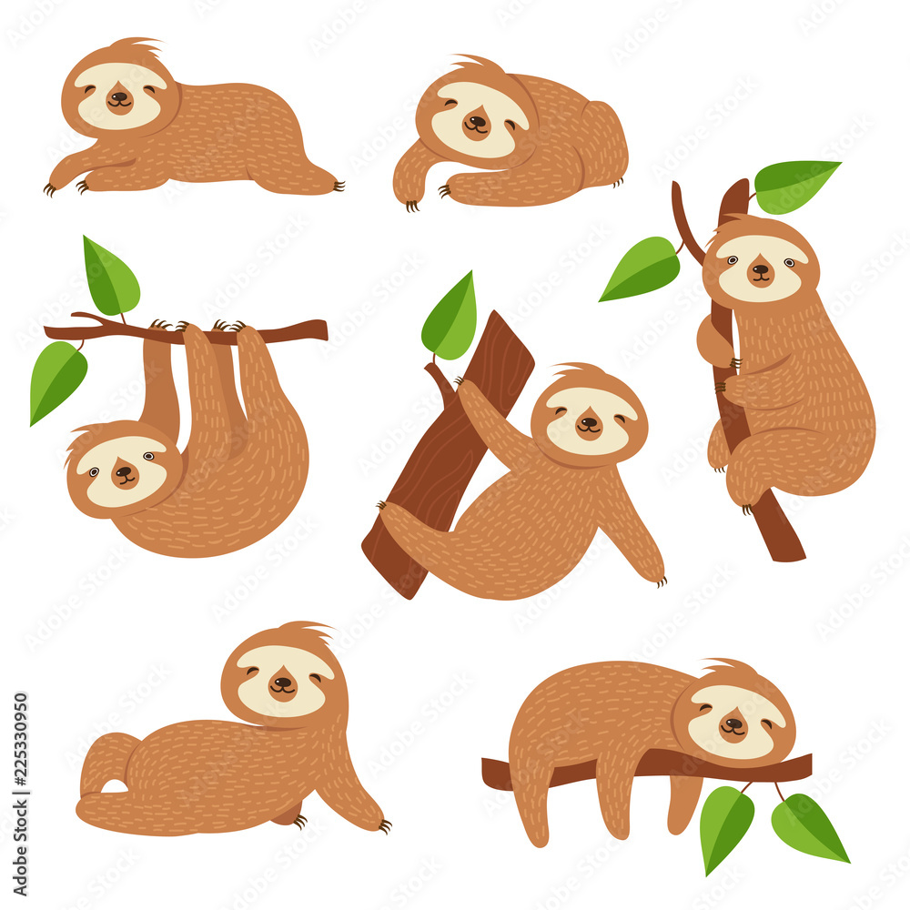 Cute sloths. Cartoon sloth hanging on tree branch. Baby jungle animal vector isolated characters ...