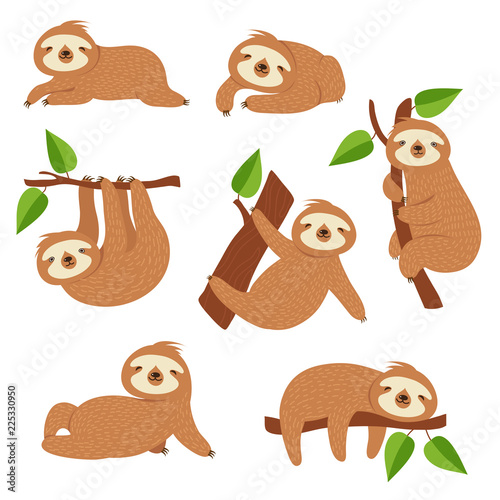 Cute sloths. Cartoon sloth hanging on tree branch. Baby jungle animal vector isolated characters. Lazy wild sloth, wildlife animal slow on tree illustration