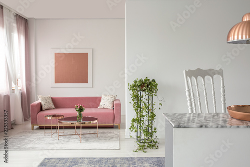 Real photo of a pink couch, plant in a living room interior and open space kitchen island