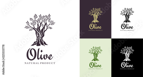 Olive tree vector logo design template for oil. Tree olive silhouette