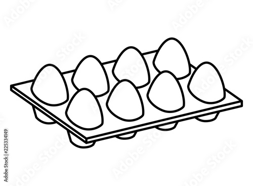 eggs pack isolated icon
