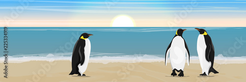 A flock of three penguins on a sandy beach. Coast of the sea or the ocean. Vector landscape