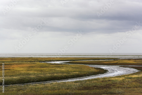 Beautiful view on the kwelders on the north east coast of Texel, one of the wadden islands in the Netherlands. The kwelders area is outside the dike and flooded with brackish water during high tide photo