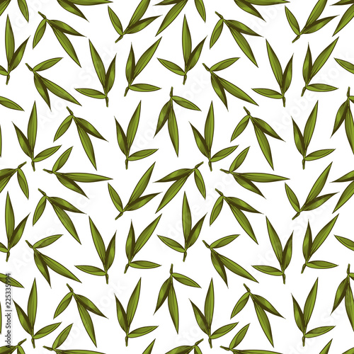 Fototapeta Naklejka Na Ścianę i Meble -  Vintage sketched green leaves seamless pattern on white. Foliage background vector design illustration