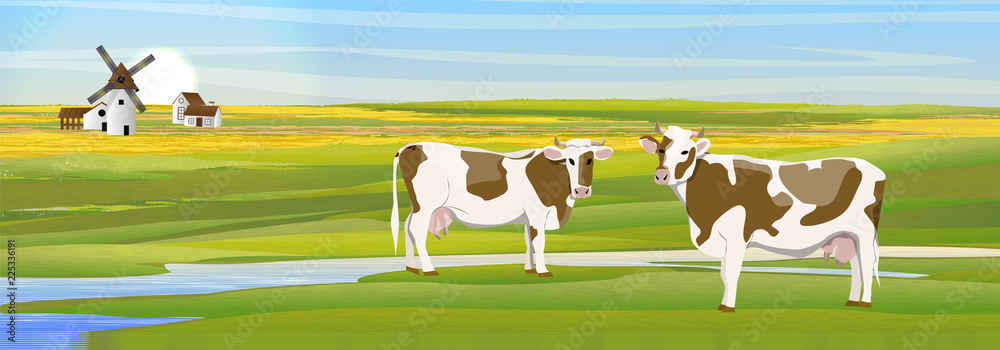 Naklejka premium Two cows in a meadow near the river. Countryside. Household buildings mill, shed, village house. Fields. Vector landscape