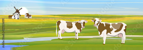 Two cows in a meadow near the river. Countryside. Household buildings mill, shed, village house. Fields. Vector landscape