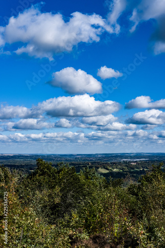 Fresh Walk around Hindhead Common photo