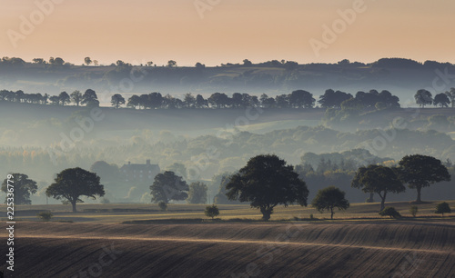 Trees on Farming Fields in Morning Mist