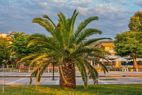 Quadro su tela Asprovalta, Greece - August 12, 2018: Palm trees beautifies Asprovalta promenade
