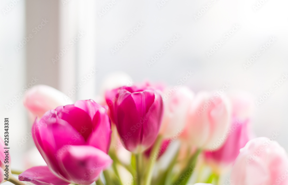Obraz premium A bouquet of tulips in a vase. Soft selective focus
