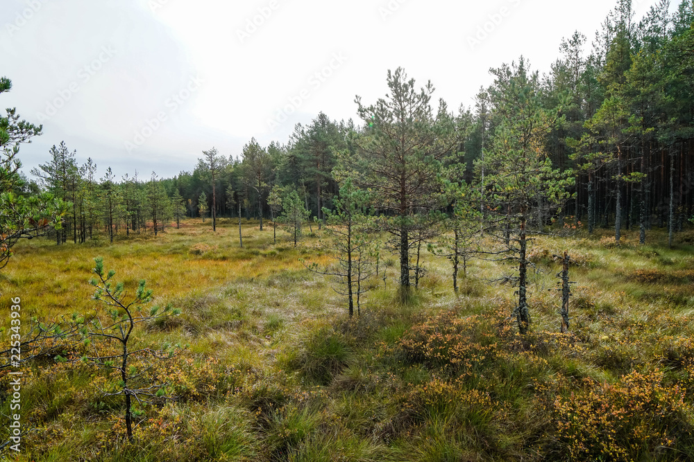 Lahemaa National Park is a park located in northern Estonia,  east from the capital Tallinn. 