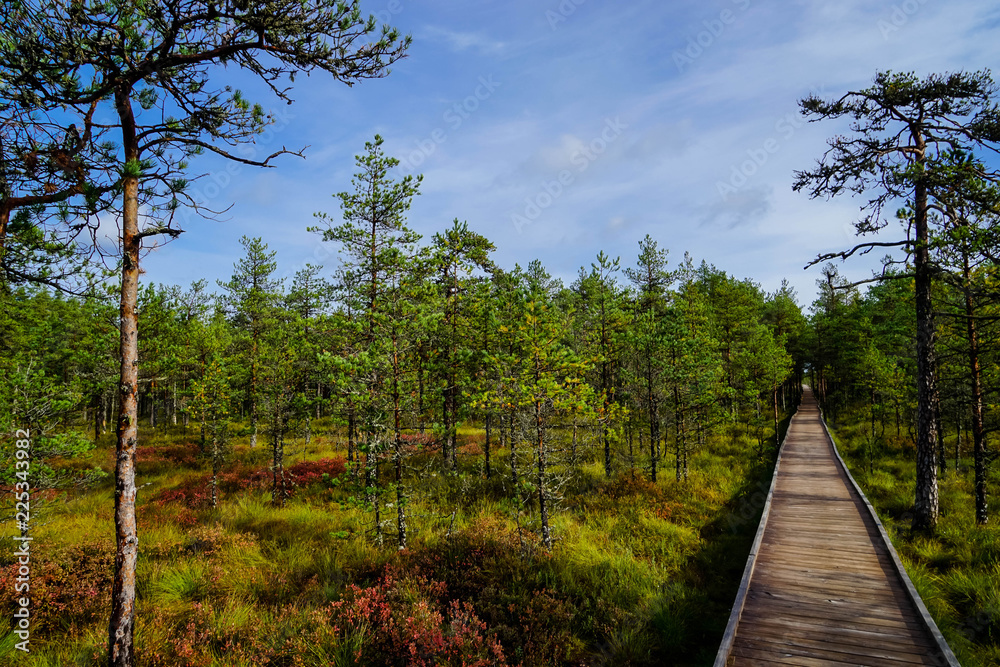Lahemaa National Park is a park located in northern Estonia, east from the capital Tallinn. Lahemaa National Park is a park located in northern Estonia, east from the capital Tallinn.