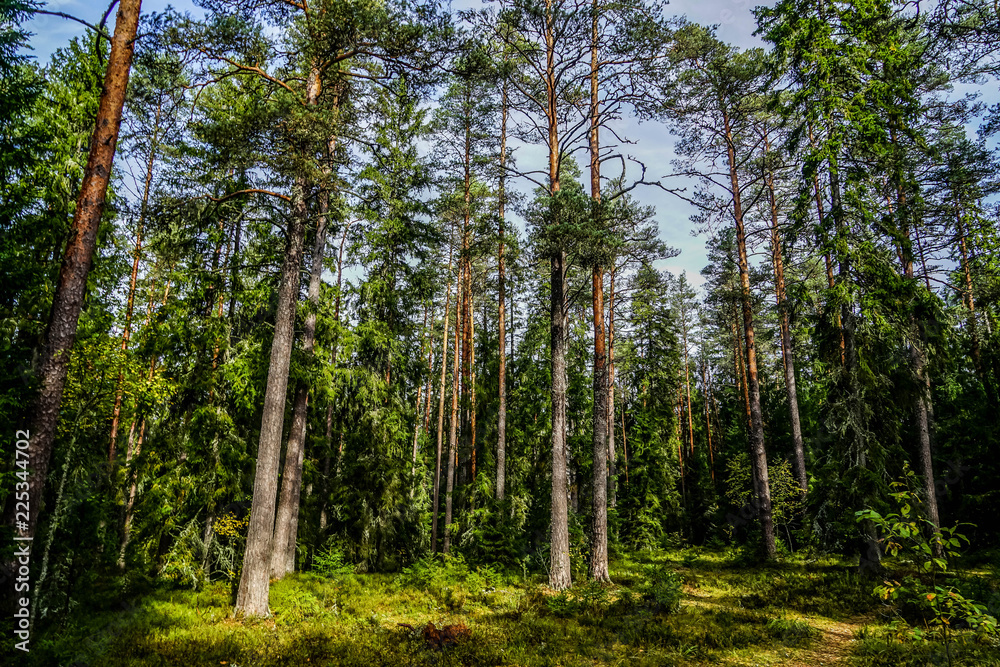 Lahemaa National Park is a park located in northern Estonia, east from the capital Tallinn. Lahemaa National Park is a park located in northern Estonia, east from the capital Tallinn.