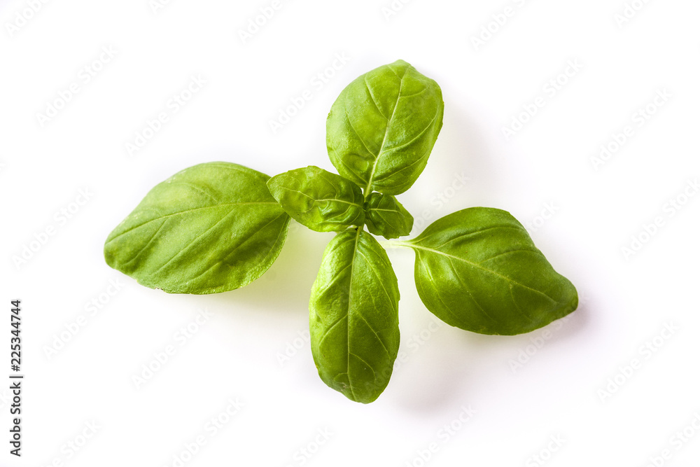 Fresh basil leaf isolated on white background. Top view.
Fresh basil leaf isolated on white background. Top view.
