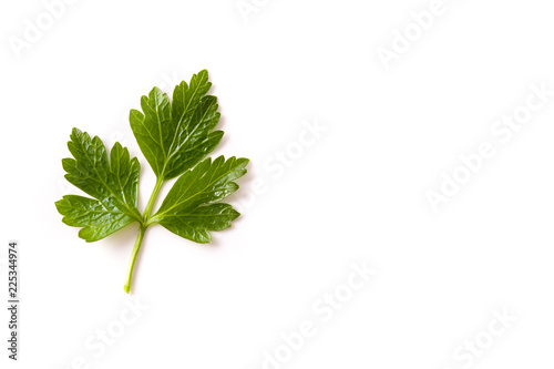 Parsley leaf isolated on white background. Top view. Copyspace.

