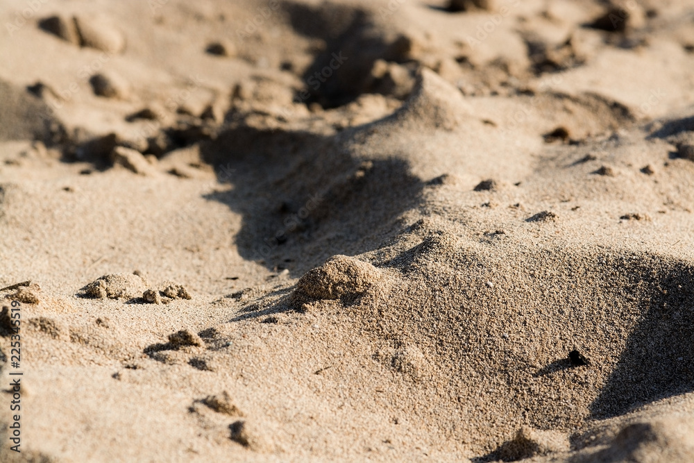 Sunlit sandy beach grains macro closeup Sunlit sandy beach grains macro closeup