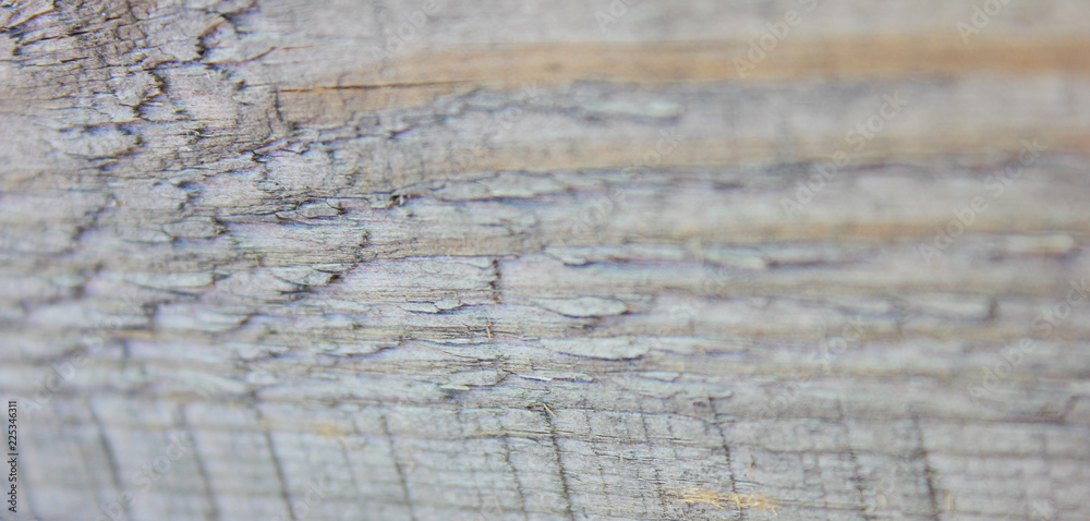 Rough Gray Wooden Wall Texture Background Close Up View. Rustic Old Weathered Pattern of Wooden Panel Surface, Selective Focus. Empty Backdrop of Light Grey Timber Uneven Vintage Wall Surface Detail Rough Gray Wooden Wall Texture Background Close Up View. Rustic Old Weathered Pattern of Wooden Panel Surface, Selective Focus. Empty Backdrop of Light Grey Timber Uneven Vintage Wall Surface Detail