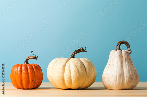 Collection of autumn pumpkins on a blue background