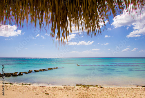 Caribbean picturesque landscape: sea horizon, sandy beach and palm leaves photo