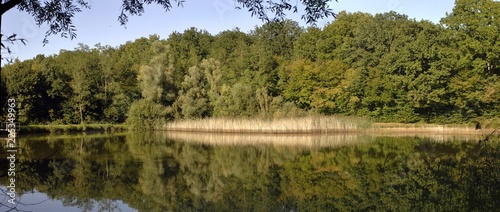 Panorama d'un étang en Bresse Bourguignonne.