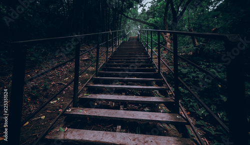 Fototapeta Naklejka Na Ścianę i Meble -  stairs walking in the forest Thailand