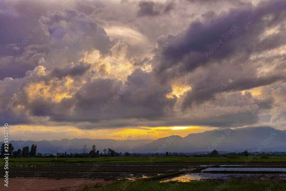 Fototapeta premium Landscape of cloudy sky cover the mountain and rice field.