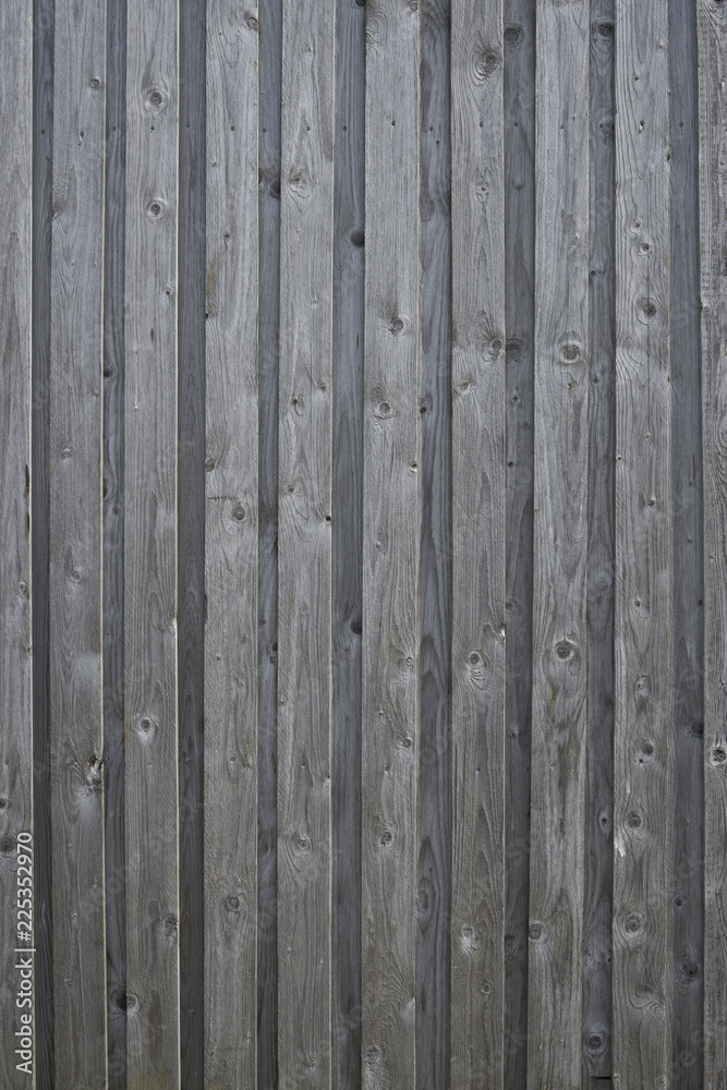 Fototapeta premium Holzwand