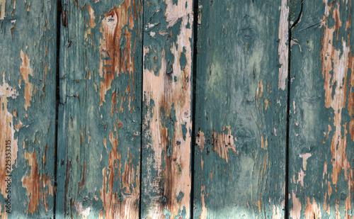 Dettaglio di vecchia porta in legno con vernice scrostata