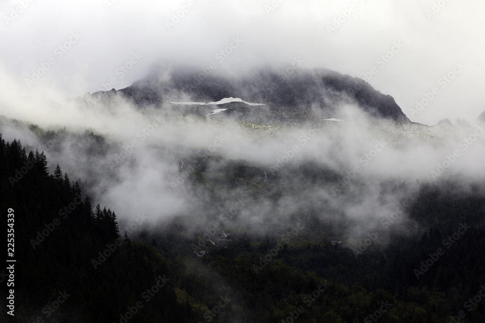 Fog in the forest, North Cascades National Park, WA, USA. 